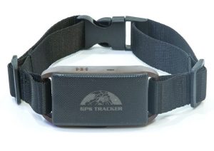 GPS-201